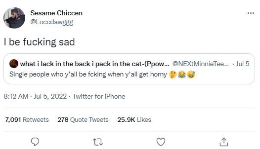 Sesame chiccen loccdawggg be fucking sad what lack in the back pack in the catpp