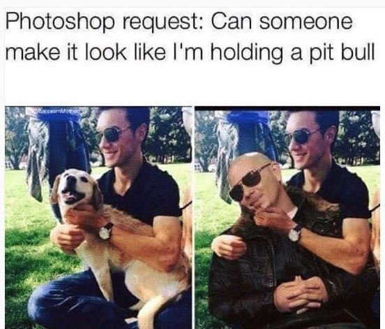 Photoshop request can someone make it look like i'm holding a pit bull