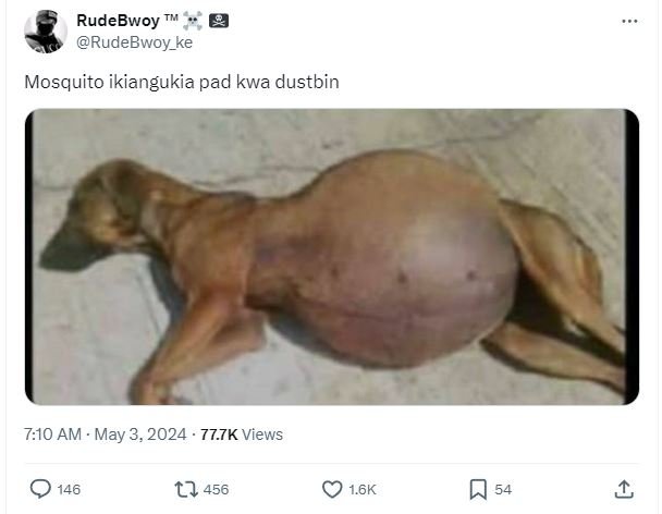 Rudebwoy rudebwoy_ke mosquito ikiangukia pad kwa dustbin 710 am . may 3, 777k vi