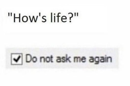 41 'how's life? do not ask me again
