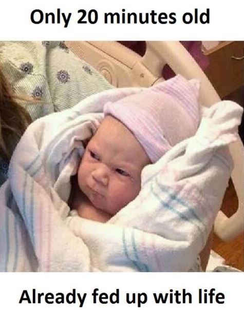 Only 20 minutes old already fed up with life