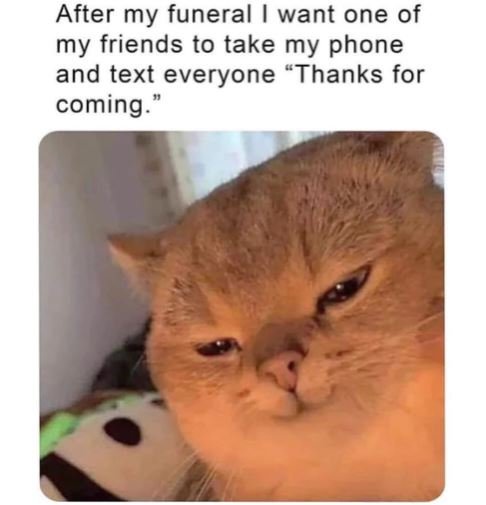 After my funeral want one of my friends to take my phone and text everyone thank