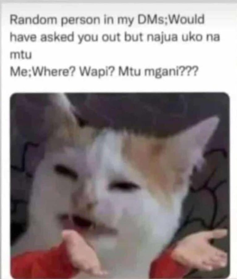 Random person in my dmswould have asked you out but najua uko na mtu mewhere? wa