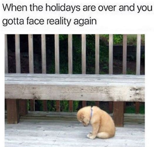 When the holidays are over and you gotta face reality again