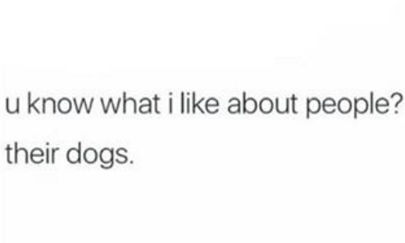 U know what i like about people? their dogs.