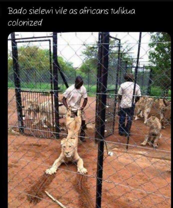 Bado sielewi vile as africans tulikua colonized