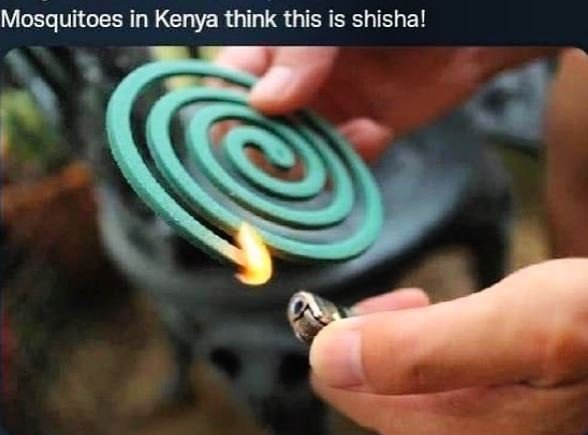Mosquitoes in Kenya think this is shisha!
