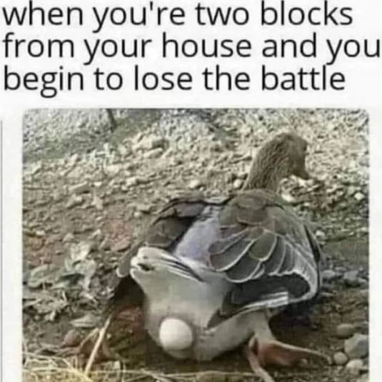 When you're two blocks from your house and you begin to lose the battle