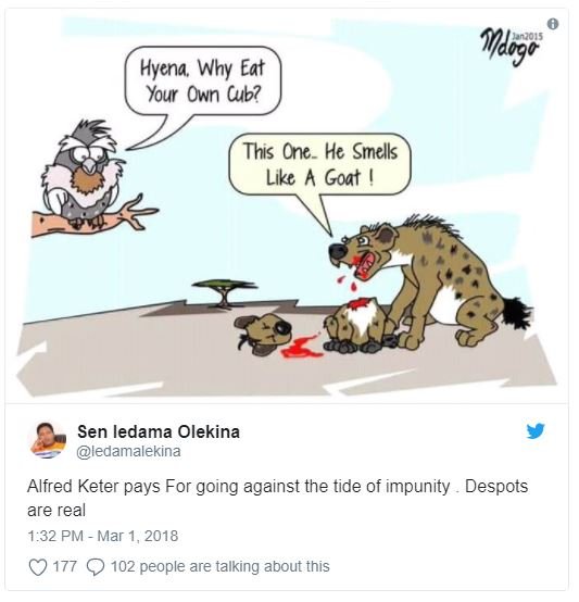 Hyena why eat your own cub? this one he smelks like a goat sen ledama olekina le