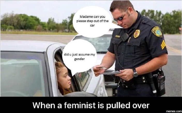 Madame can you ease step out cf the dld just assume my gender when a feminist is