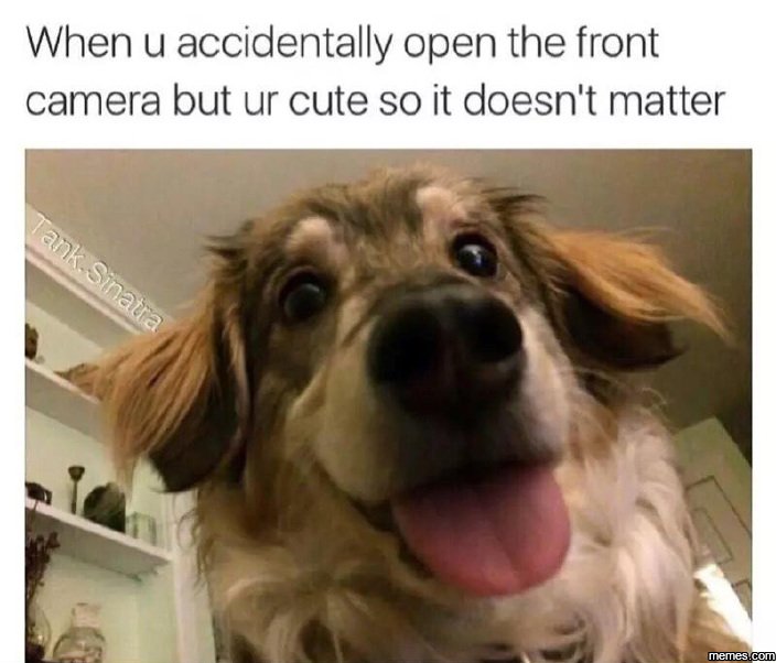 When u accidentally open the front camera but ur cute so it doesn't matter memes