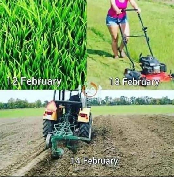 12 February 13 February 14 February