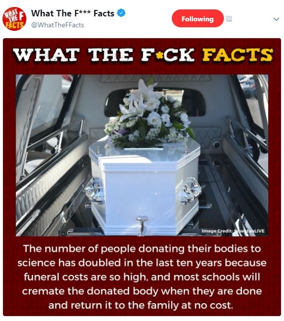 What the f facts whattheffacts following what the fck facts ionaqecpdut the numb