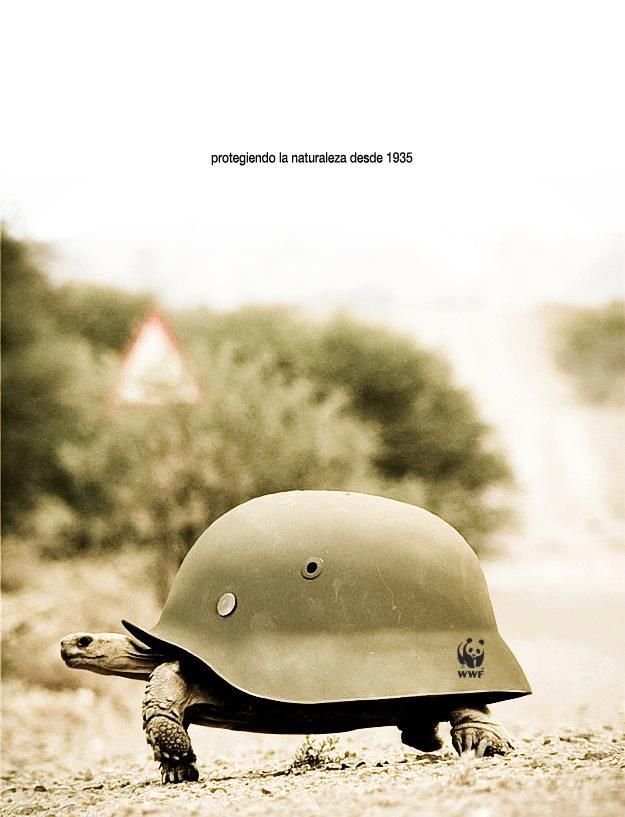 Protegiendo la naturaleza desde wmf