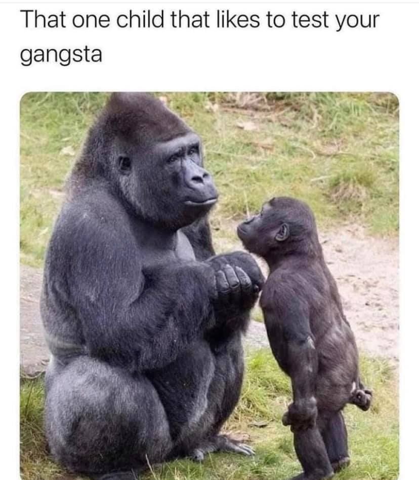 That one child that likes to test your gangsta