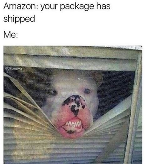 Amazon your package has shipped me