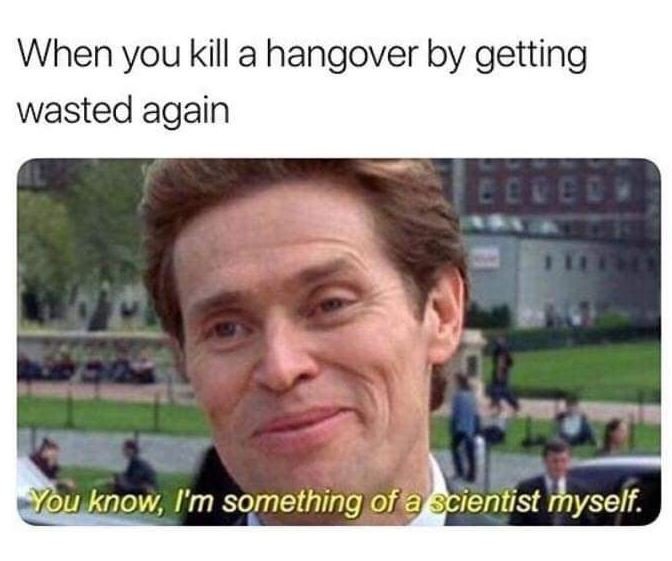 When you kill a hangover by getting wasted again you know i'm something of a sci