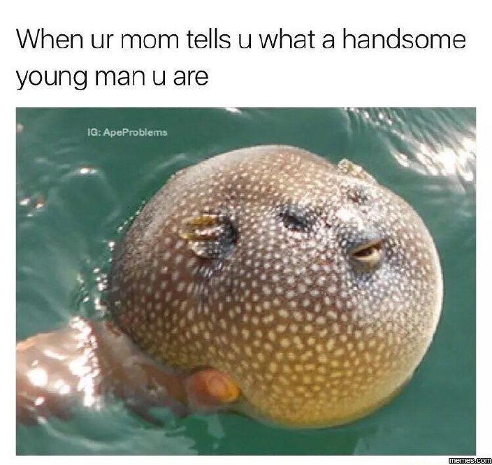 When ur mom tells u what a handsome young man u are ig apeproblems memeacom