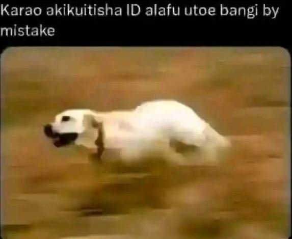 Karao akikuitisha id alafu utoe bangi by mistake