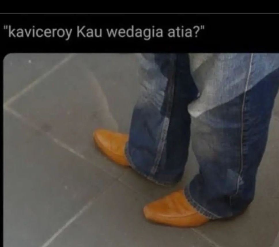 Kaviceroy kau wedagia atia?