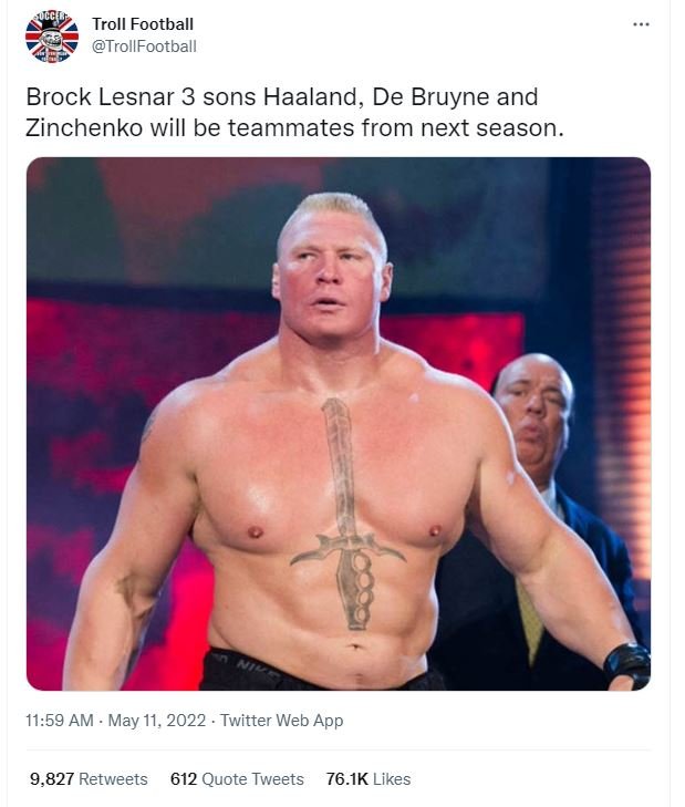 Troll football trollfootball brock lesnar 3 sons haaland, de bruyne and zinchenk