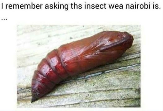 Remember asking ths insect wea nairobi is.