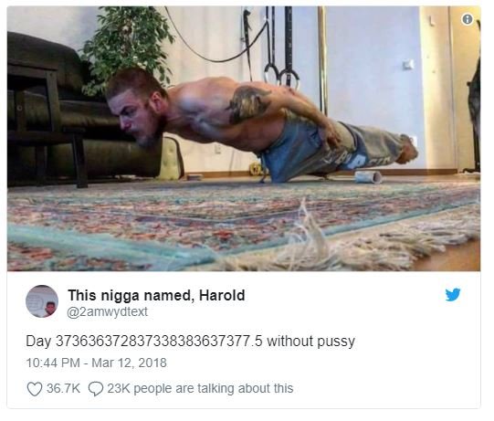 This nigga named, harold 2amwydtext day .5 without pussy 10.44 pm mar 12, 36.7k