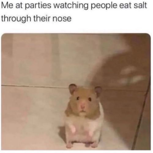 Me at parties watching people eat salt through their nose