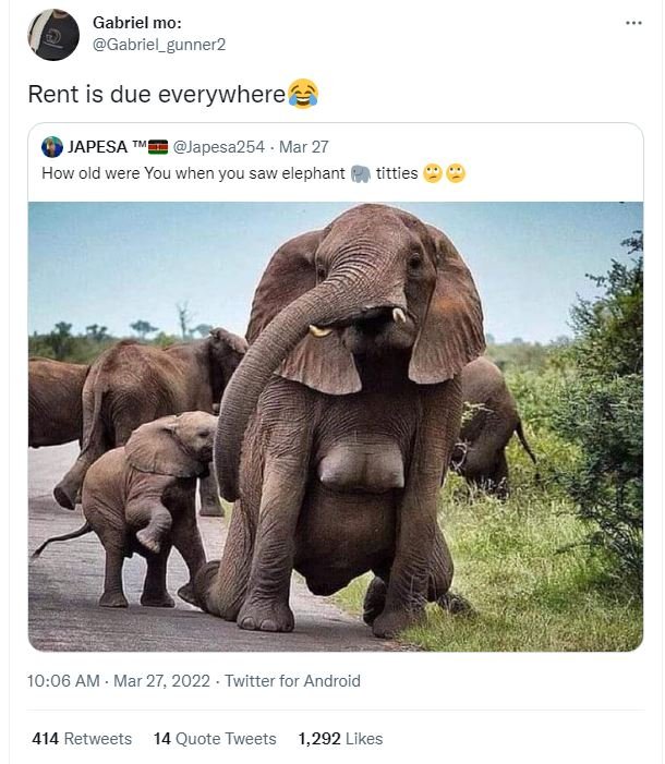 Gabriel mo gabriel_gunner2 rent is due everywhere japesa japesa254 mar 27 how ol