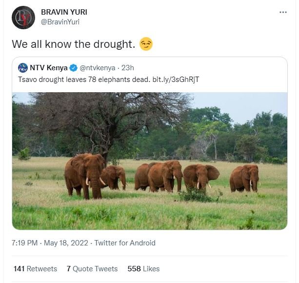 Bravin yuri bravinyuri we all know the drought ntv kenya ntvkenya 23h tsavo drou