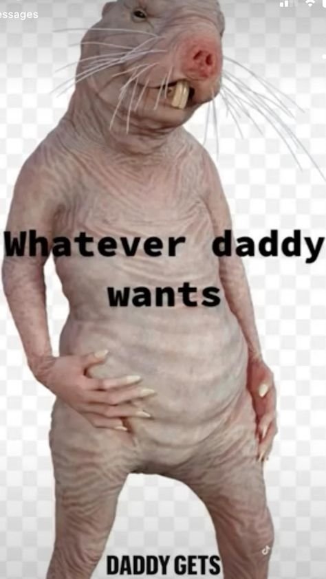 Sseges whatever daddy wants daddy gets