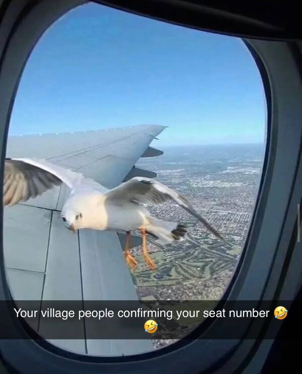 Your village people confirming your seat number