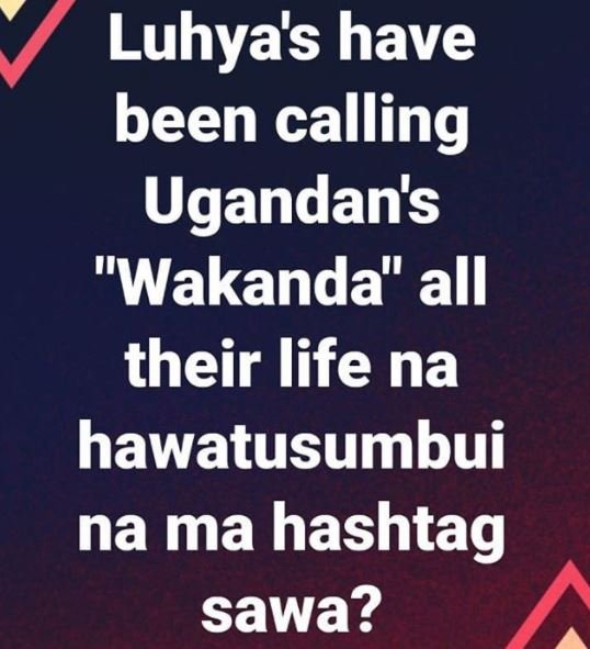 Luhyas have been calling ugandan's wakanda all their life na hawatusumbui na ma