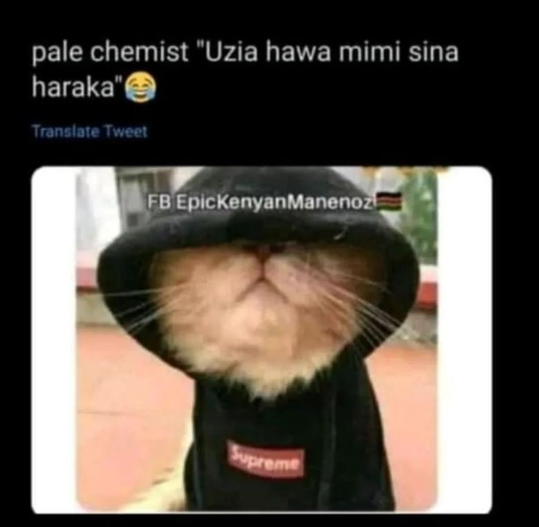Pale chemist uzia hawa mimi sina haraka translate twcel fb epickenyanmanenoz spr
