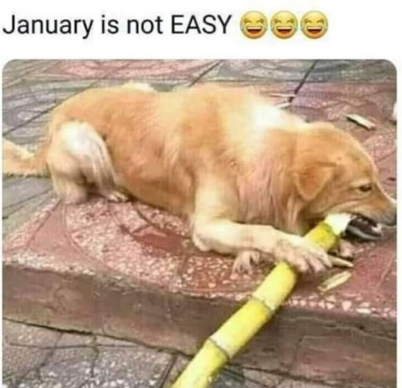 January is not EASY