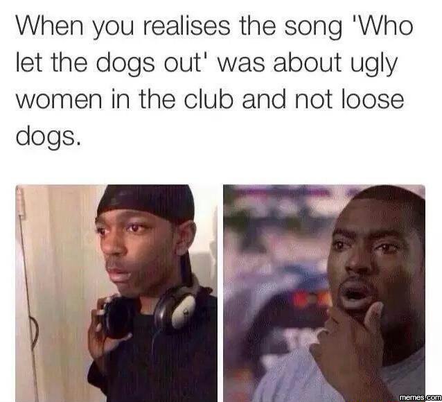When you realises the song 'who let the dogs out' was about ugly women in the cl