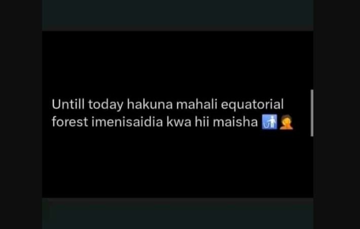 Untill today hakuna mahali equatorial forest imenisaidia kwa hii maisha