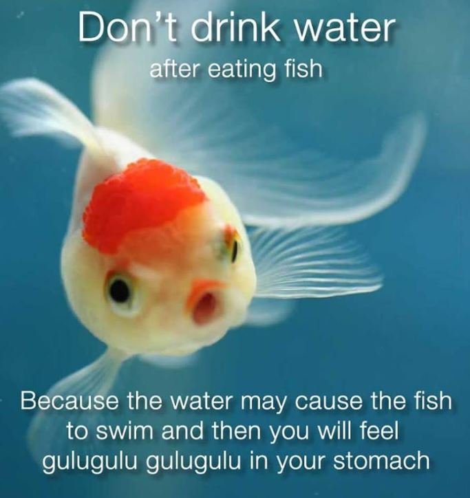 Don't drink water after eating fish because the water may cause the fish to swim