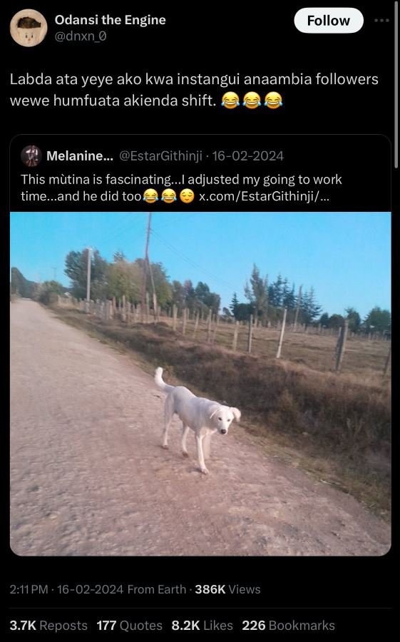 Odansi the engine dnxn 0 follow labda ata yeye ako kwa instangui anaambia follow