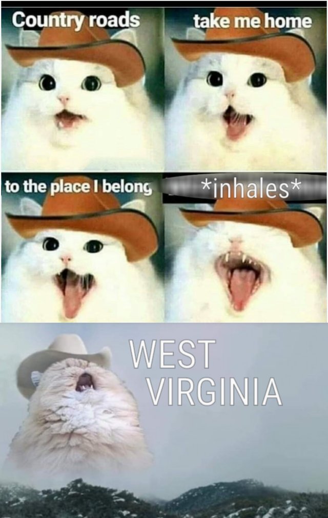 Country roads take me home to the place belong inhales west virginia