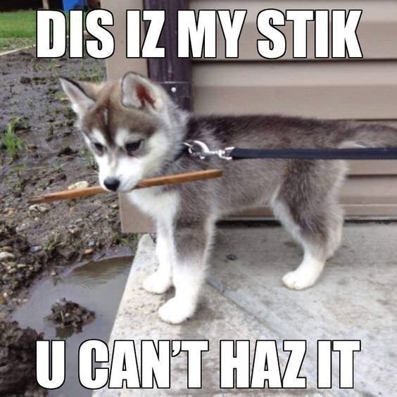 Dis 1z my stik u canttfazi