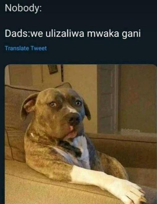 Nobody dadswe ulizaliwa mwaka gani translate tweet