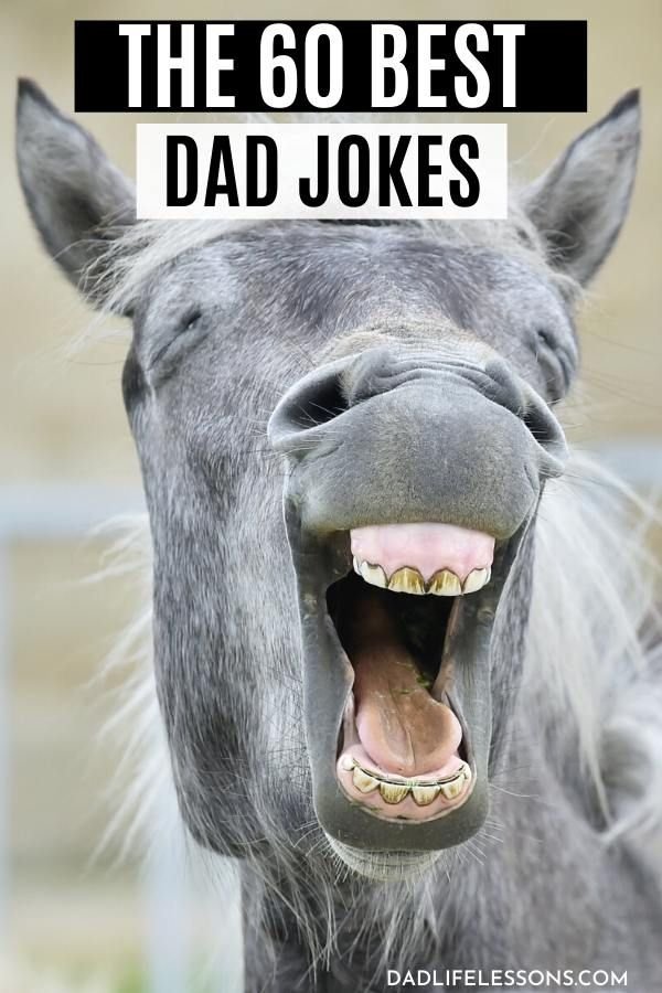 The6obest dad jokes dadlifelessonscom