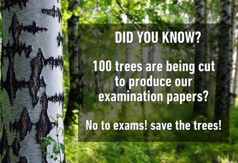 Did you know? 100 trees are being cut to produce our examination papers? no to e