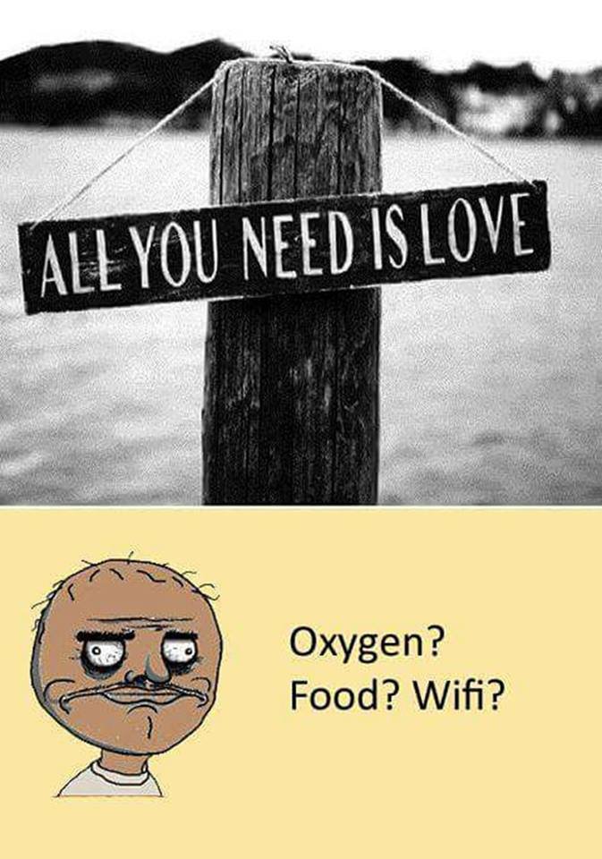 Al you need isloves oxygen? food? wifi?