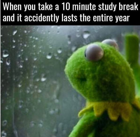 When you take a 10 minute study break and it accidently lasts the entire year