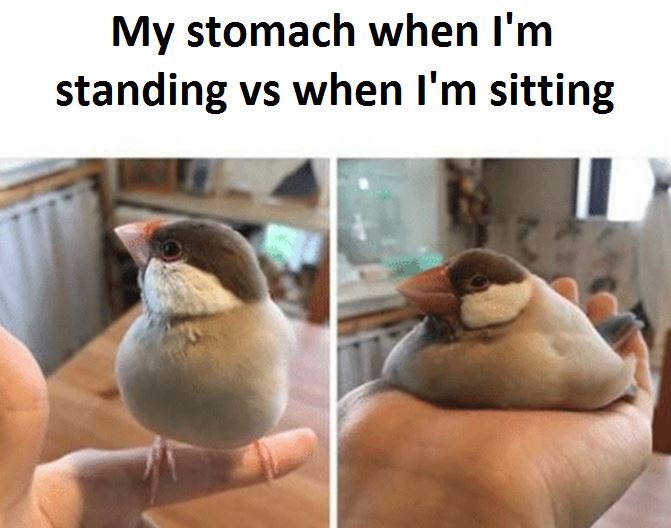 My stomach when i'm standing vs when i'm sitting