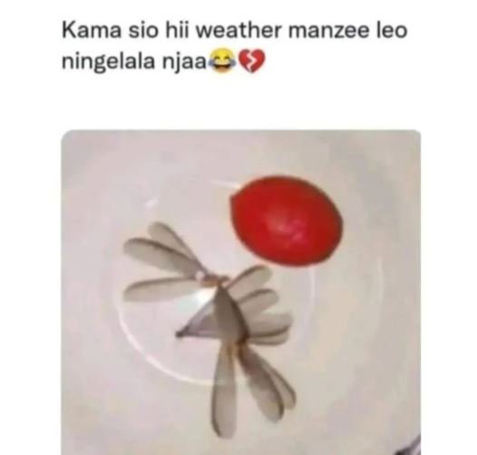Kama sio hii weather manzee leo ningelala njaa