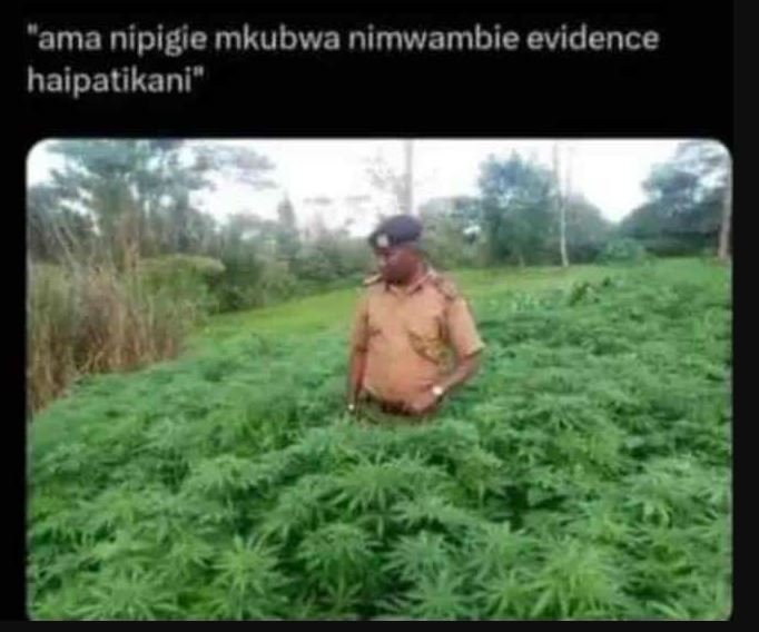 Cama nipigie mkubwa nimwambie evidence haipatikani