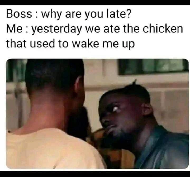 Boss why are you late? me yesterday we ate the chicken that used to wake me up
